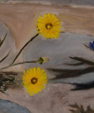 Dandelions by house wall (40x40cm)