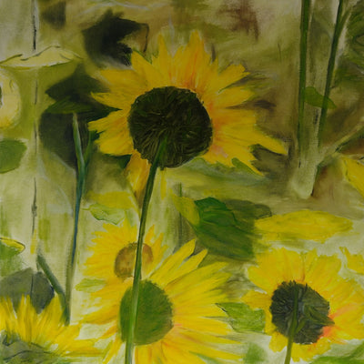 Solsikker (50x60cm)