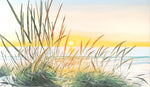 Bentgrass shore (120x70cm)
