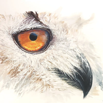 The look (120x90cm)